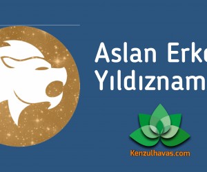 Aslan Erkeği Yıldıznamesi