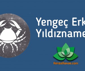 Yengeç Erkeği Yıldıznamesi
