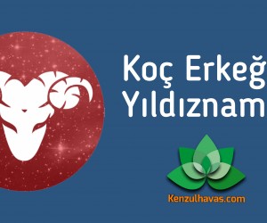 Koç Erkeği Yıldıznamesi