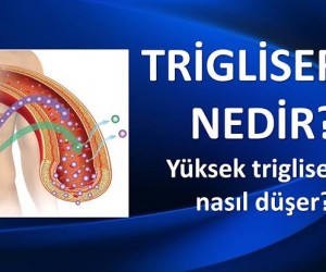 Trigliserid için Çözüm