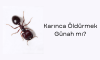 Karınca Öldürmek