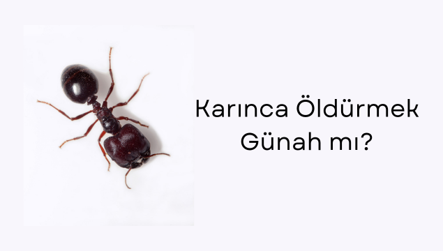 Karınca Öldürmek