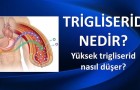 Trigliserid için Çözüm