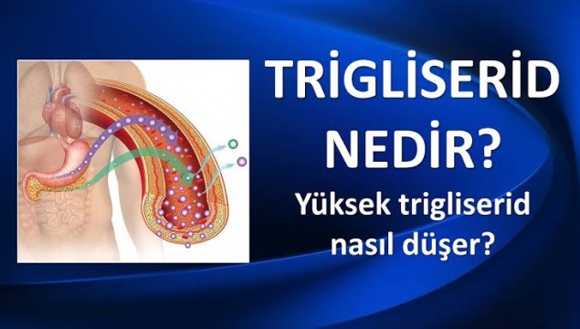 Trigliserid için Çözüm