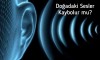 DOĞADA Kİ SESLER KAYBOLUR MU ?