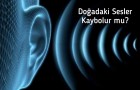 DOĞADA Kİ SESLER KAYBOLUR MU ?