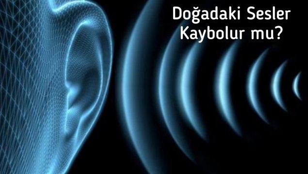DOĞADA Kİ SESLER KAYBOLUR MU ?